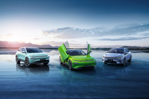 碧桂園文商旅碧虎杯3V3籃球賽跨界落地碧家國際社區 創新融合體育運動與汽車消費