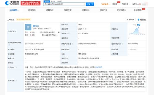 數(shù)字內(nèi)容制作服務(wù) 在信息洪流中塑造品牌聲音與價(jià)值